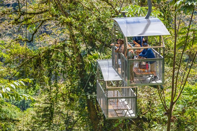 Veragua Rainforest Walk, Tram & Tortuguero Boat Tour. Limon Shore Excursion - Starting in Puerto Limón at 8:00 am