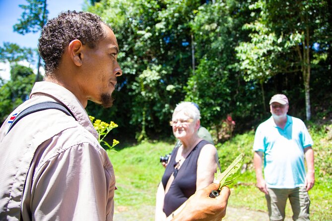 Veragua Rainforest Walk, Tram & Tortuguero Boat Tour. Limon Shore Excursion - Physical effort, weather, and practical comfort