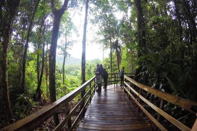 Veragua Rainforest Walk, Tram & Tortuguero Boat Tour. Limon Shore Excursion - The long road to Veragua Rainforest Park