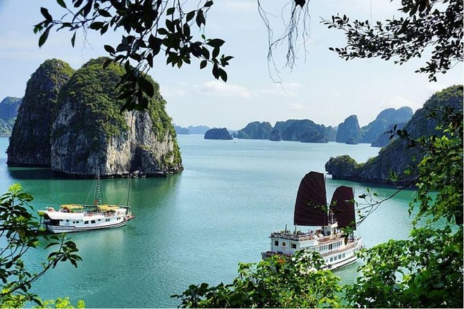 VIP Ha Long Bay 6 hour FUJI cruise with latest luxury cruise ship + limousine + highway + dinner for Japanese only - Boarding the FUJI cruise at noon