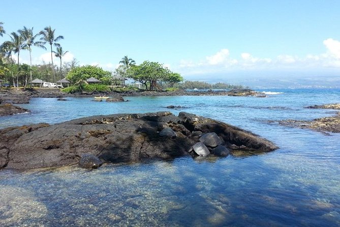 Volcano Adventure Tour & Waterfall - Shore Excursion from Hilo Harbor - Hawaii Volcanoes National Park is worth protecting time for