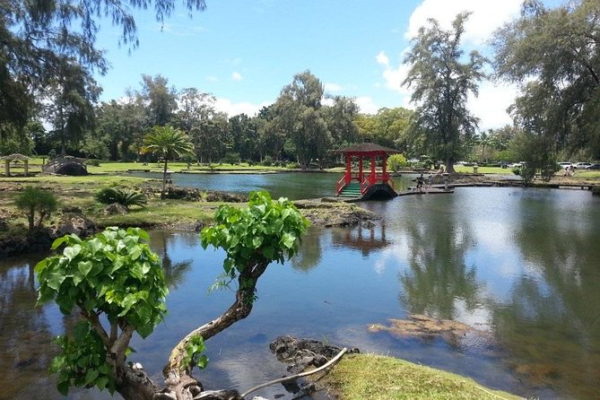 Volcano Adventure Tour & Waterfall - Shore Excursion from Hilo Harbor - Guides can make the crowded schedule work