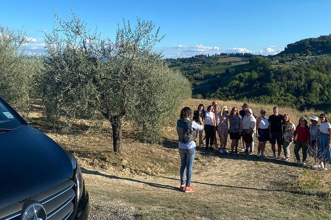 Volterra Tour + Salt Mine by van from Lucca, Pisa or Livorno Port - Key points to know before booking