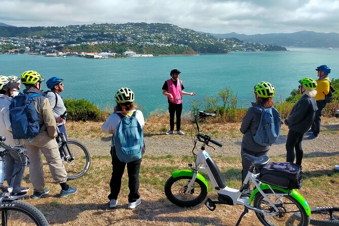 Wellington Guided eBike Tour-Cruise Shore Excursion - Key points at a glance