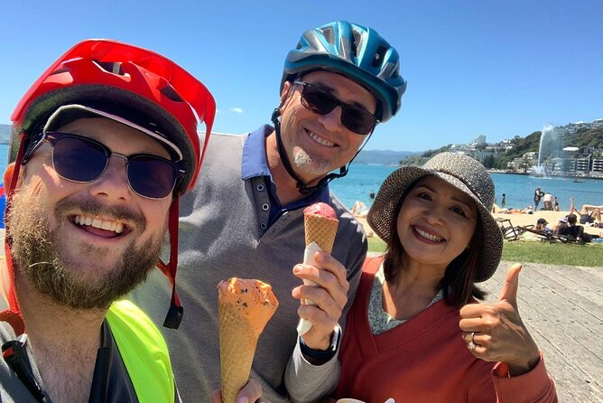 Wellington Guided eBike Tour-Cruise Shore Excursion - Why an eBike makes sense in hilly Wellington