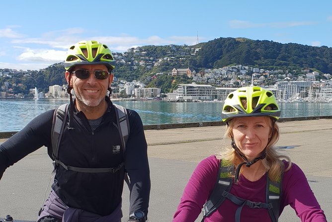 Wellington Guided eBike Tour-Cruise Shore Excursion - Te Papa and the coastal road toward Miramar