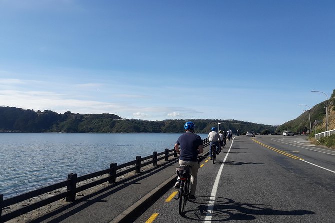 Wellington Guided eBike Tour-Cruise Shore Excursion - The Maupuia Hill payoff