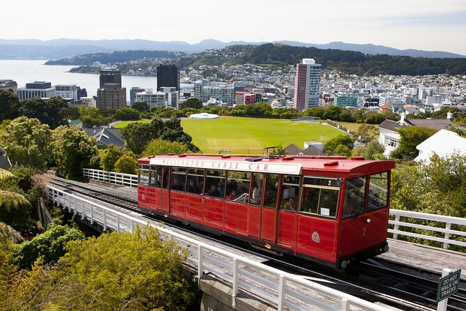 Wellington Shore Excursion City Sightseeing Tour - Key points to know before booking