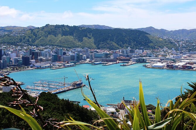 Wellington Shore Excursion City Sightseeing Tour - The Wellington Cable Car question