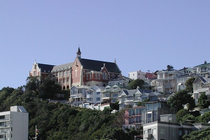 Wellington Shore Excursion City Sightseeing Tour - What the guides add to the day