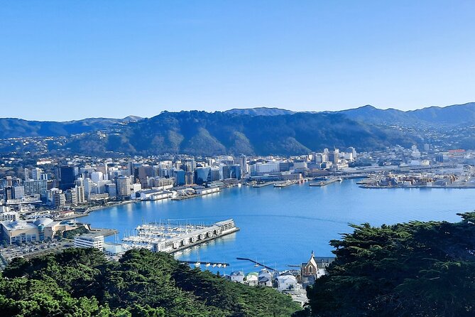 Wellington Shore Excursion: From Cave to Coast Highlights Private Tour - Mount Victoria gives you Wellington in one look