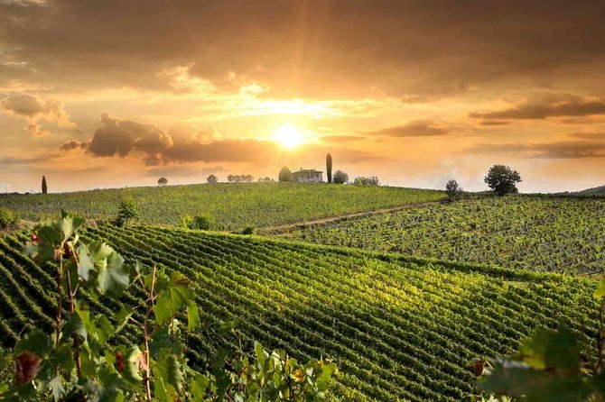 Wine and Cheese Tastings Southern Tuscany ShoreExcursion from Civitavecchia Port - Key points to know before booking