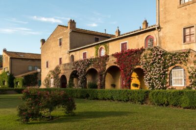 Wine Tour Bolgheri Half Day Shore Excursion from Livorno Port