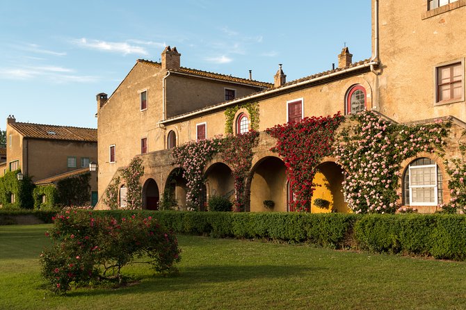 Wine Tour Bolgheri Half day Shore Excursion from Piombino Port - Key Points At a Glance