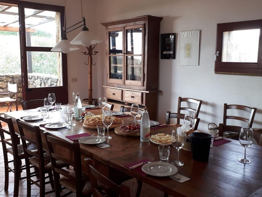 Winery Tour & Wine Tasting with Food near Livorno & Pisa - Key points at a glance