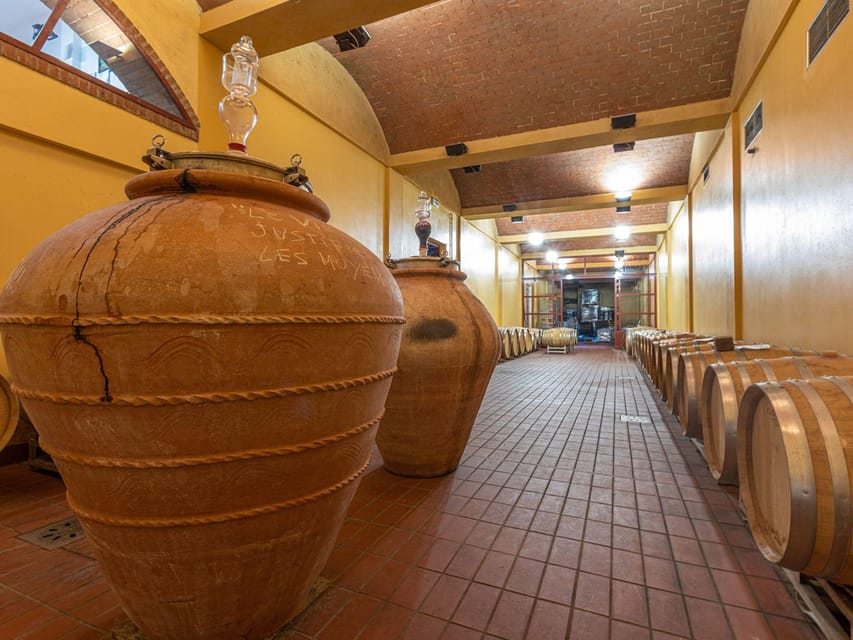 Winery Tour & Wine Tasting with Food near Livorno & Pisa - Reaching Casale Marittimo from Livorno or Pisa
