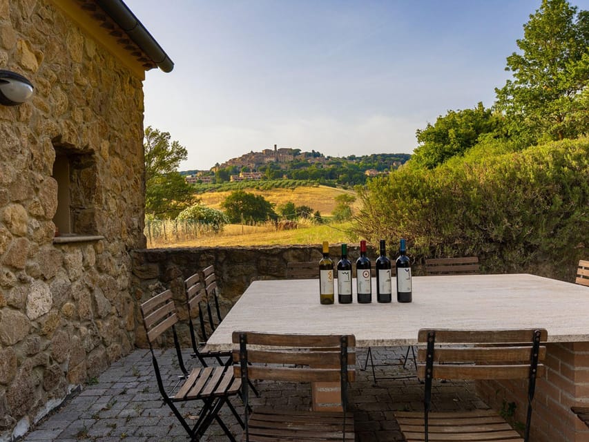 Winery Tour & Wine Tasting with Food near Livorno & Pisa - Inside the production and vinification areas