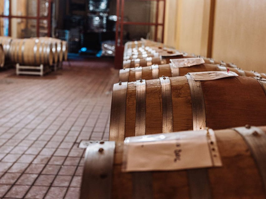 Winery Tour & Wine Tasting with Food near Livorno & Pisa - Who will enjoy this winery visit?