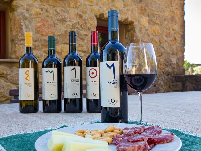 Winery Tour & Wine Tasting with Food near Livorno & Pisa - Should you book the Etruscan Prince Warrior winery?