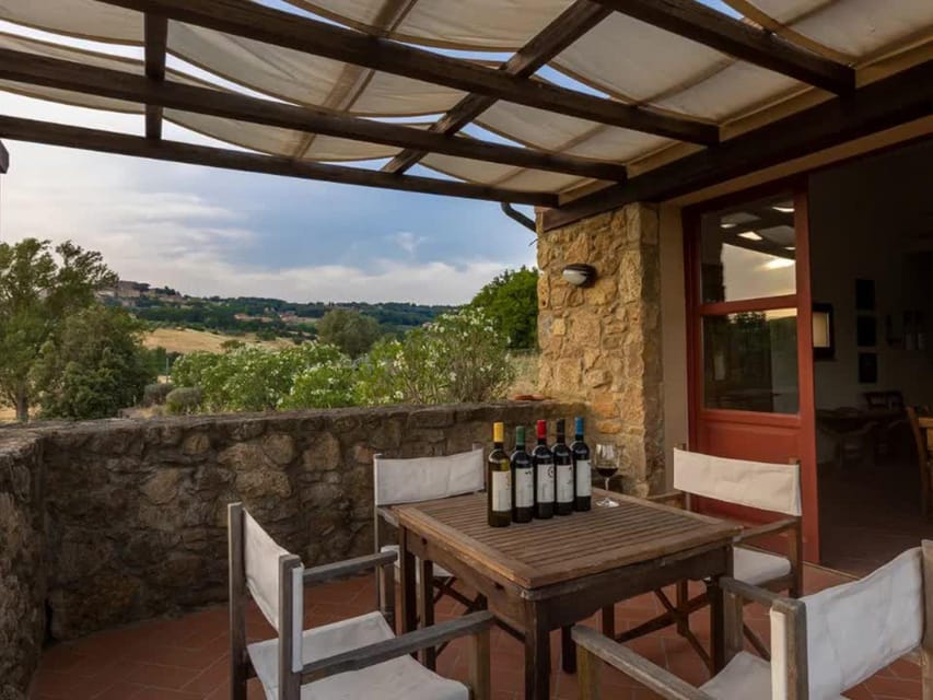 Winery Tour & Wine Tasting with Food near Livorno & Pisa - The Etruscan Prince Warrior story