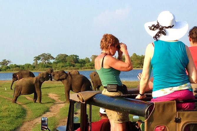 Yala Safari Tour from Hambantota Port (Shore Excursion) - Yala National Park, the main event