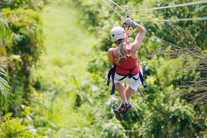 Zipline Canopy Tour & Tortuguero Canal Boat tour. Shore Excursion from Limon - Key points before you book